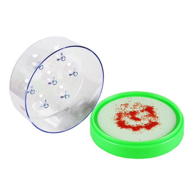 Reusable Non-Toxic Fly Trap