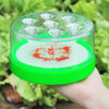 Reusable Non-Toxic Fly Trap