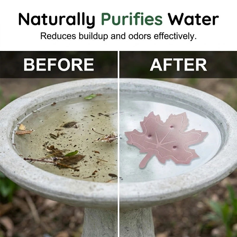 Bird Bath Water Purifier
