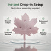 Bird Bath Water Purifier