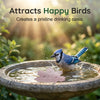 Bird Bath Water Purifier