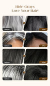 Hair Dye Comb