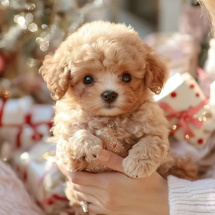 Smart Buddy – Interactive Puppy Robot