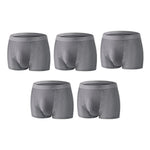 Leakproof Ice Silk Mesh Mens Boxer