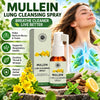 Organic Mullein Lung Cleansing Spray for Respiratory Support